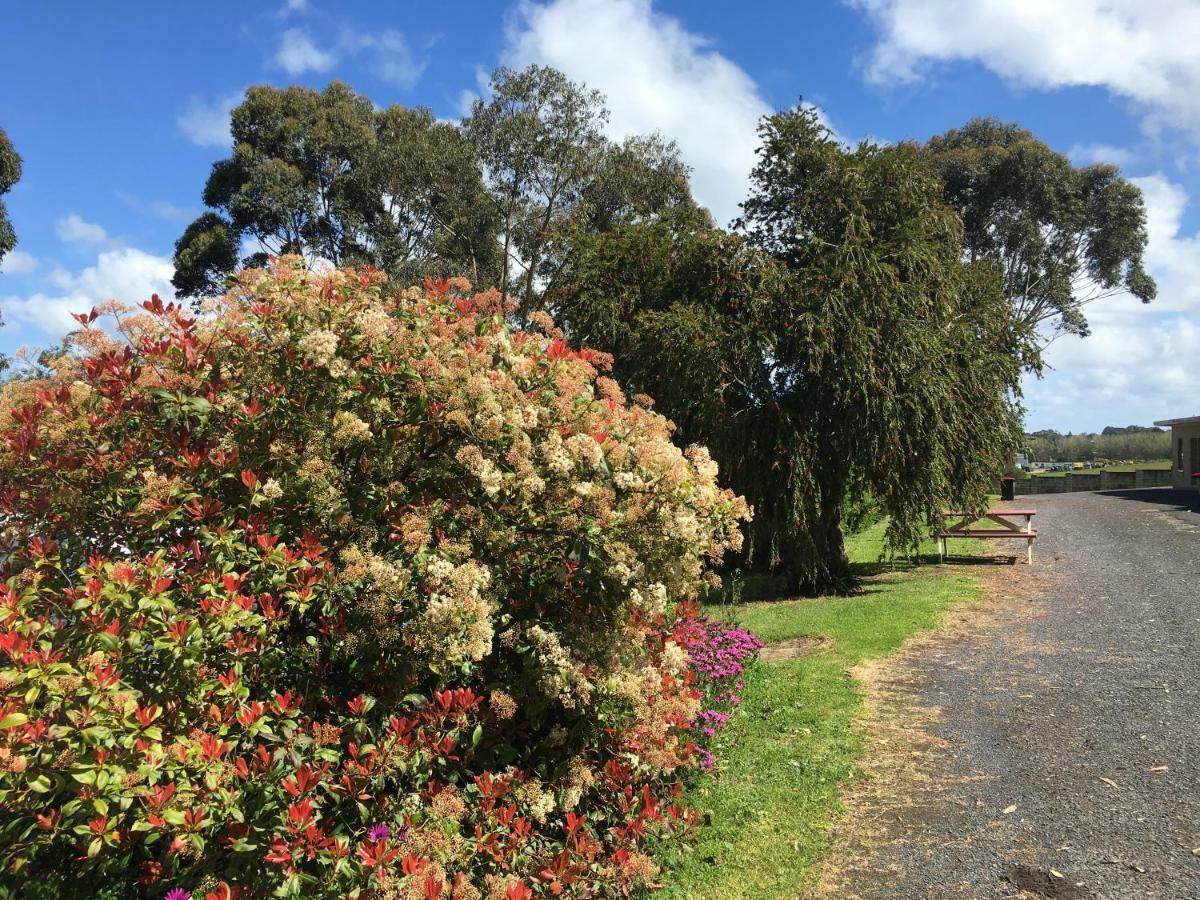 Limestone Coast Tourist Park Mount Gambier Eksteriør billede